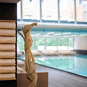 ***** Отель Pullman Schweizerhof Германия